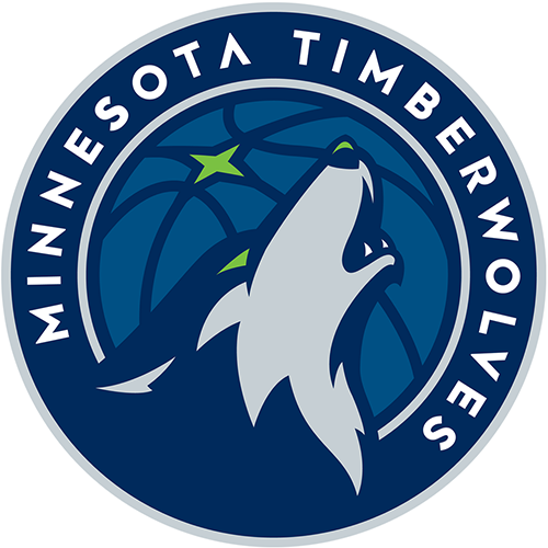 Minnesota Timberwolves iron ons